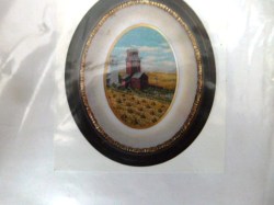 the prairies main